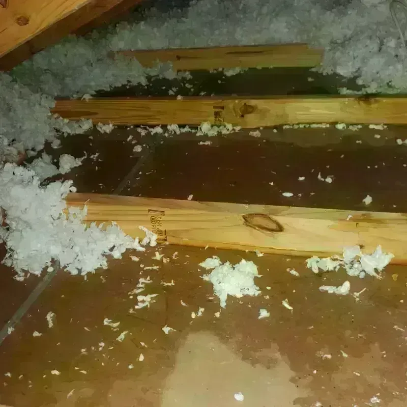 Attic Water Damage in Justice, IL