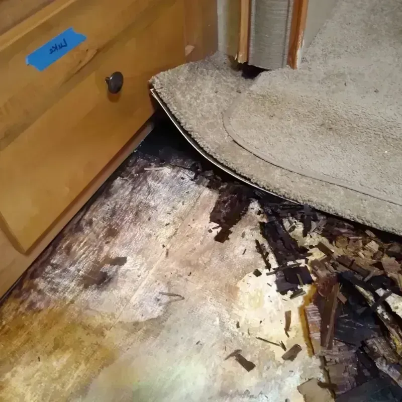 Wood Floor Water Damage in Justice, IL